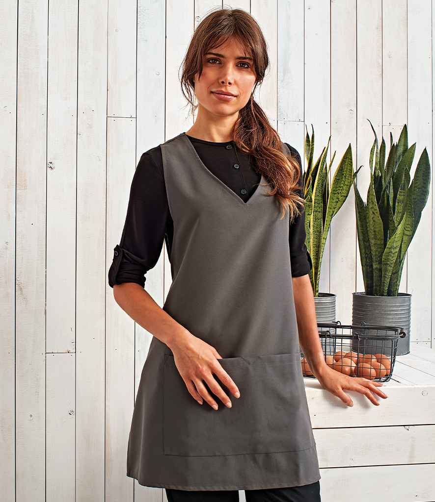 PR177 Dark Grey Model