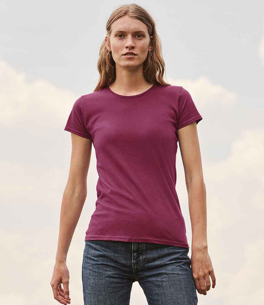 SS721 Burgundy Model